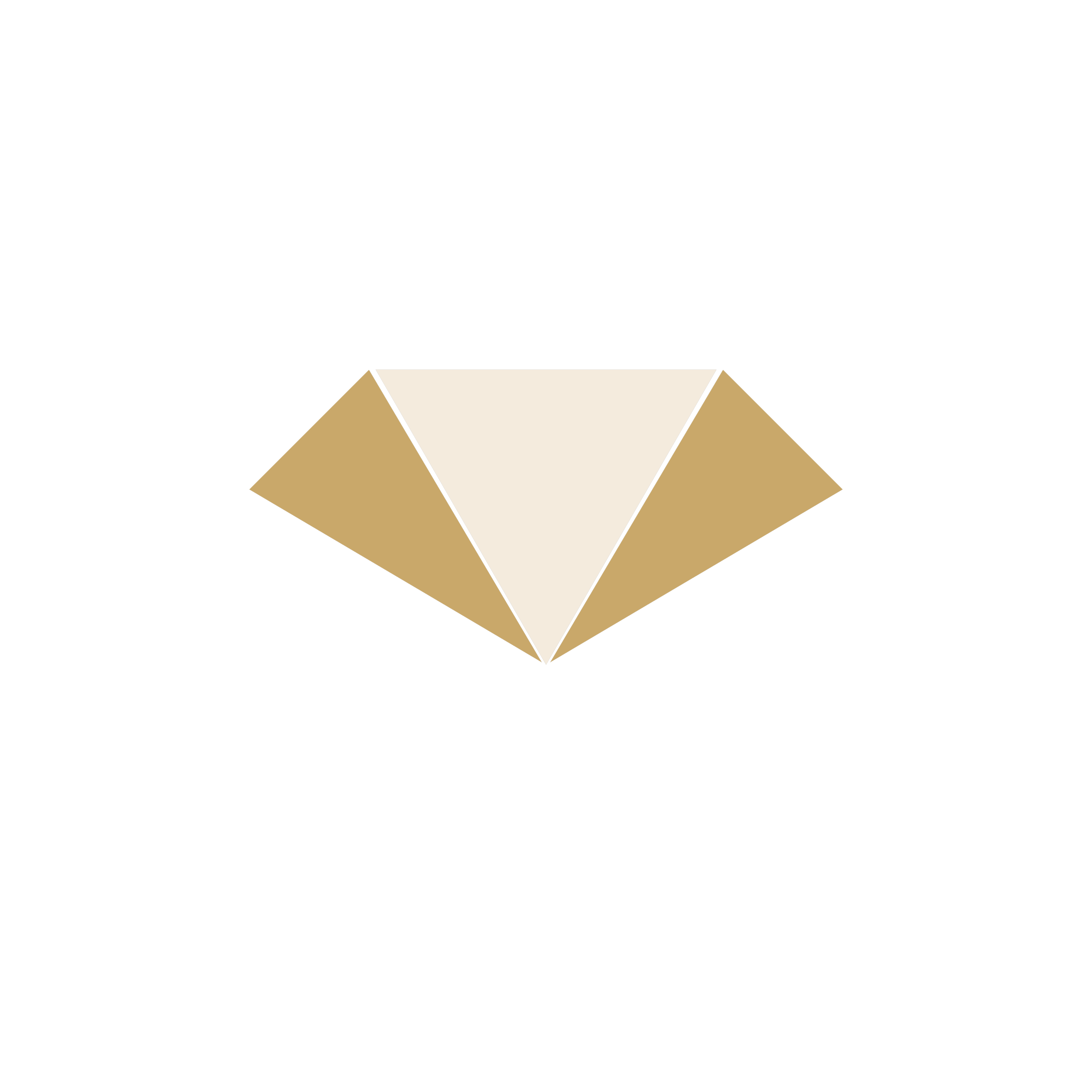 Gemray Studio Logo